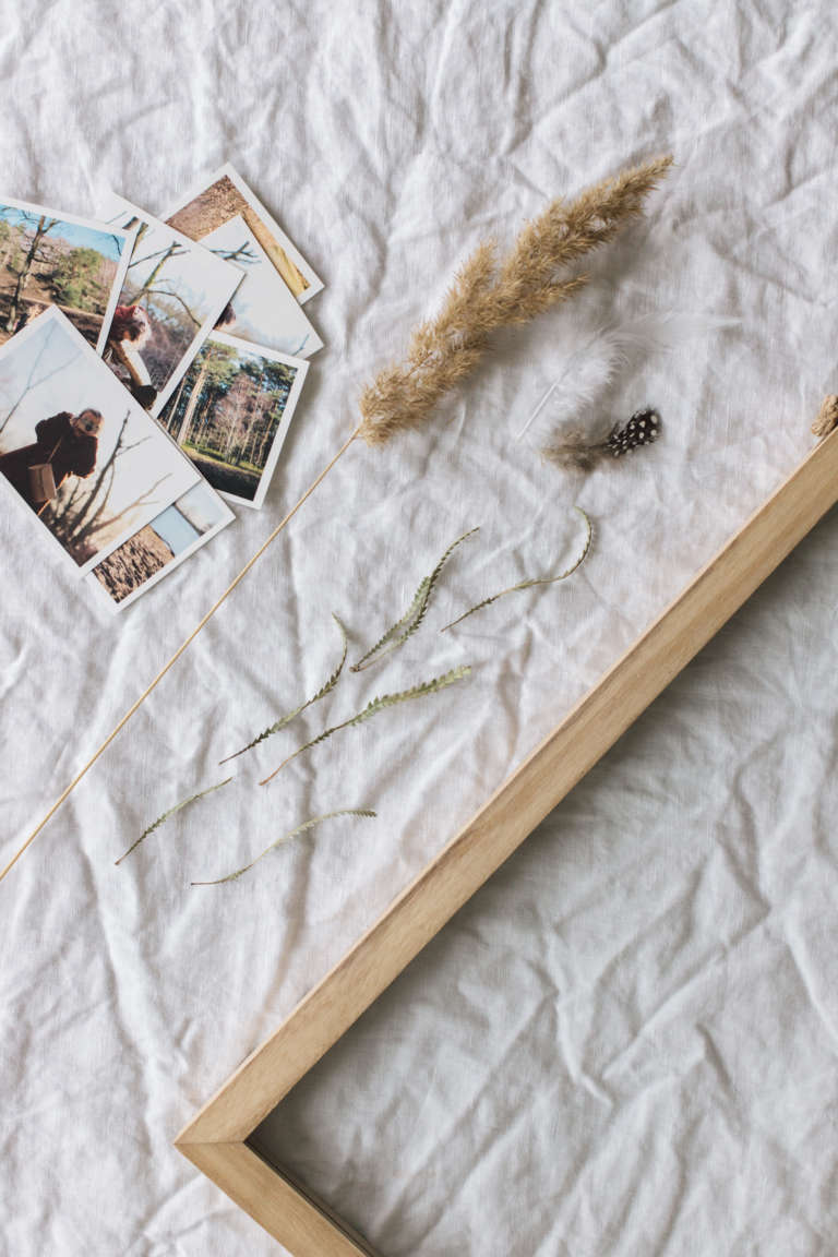 Diy Bilderrahmen Familienerinnerungen Getrocknete Blumen Selber Machen Paulsvera