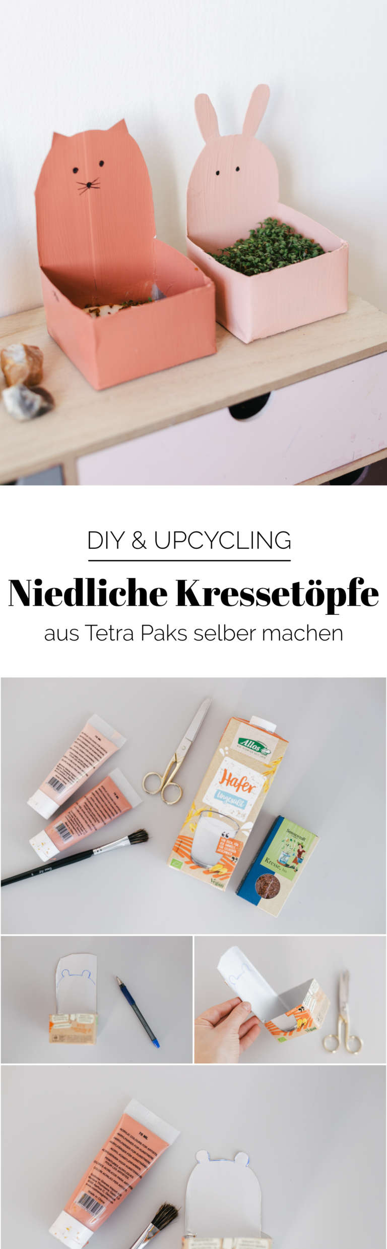 DIY Anleitung Upcycling Kressetopfe Tetra Pak Upcycling Idee fuer Kinder