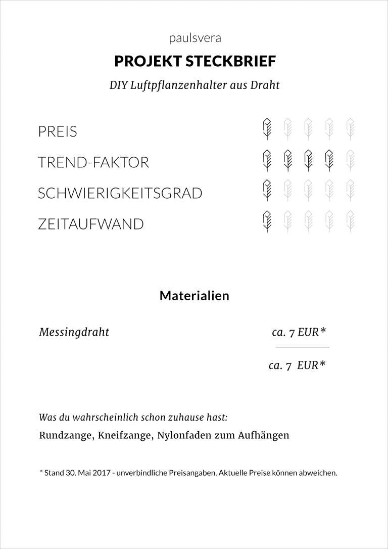 Diy Steckbrief Luftpflanzenhalter Tilansien Halter Aus Draht Selber Machen Paulsvera