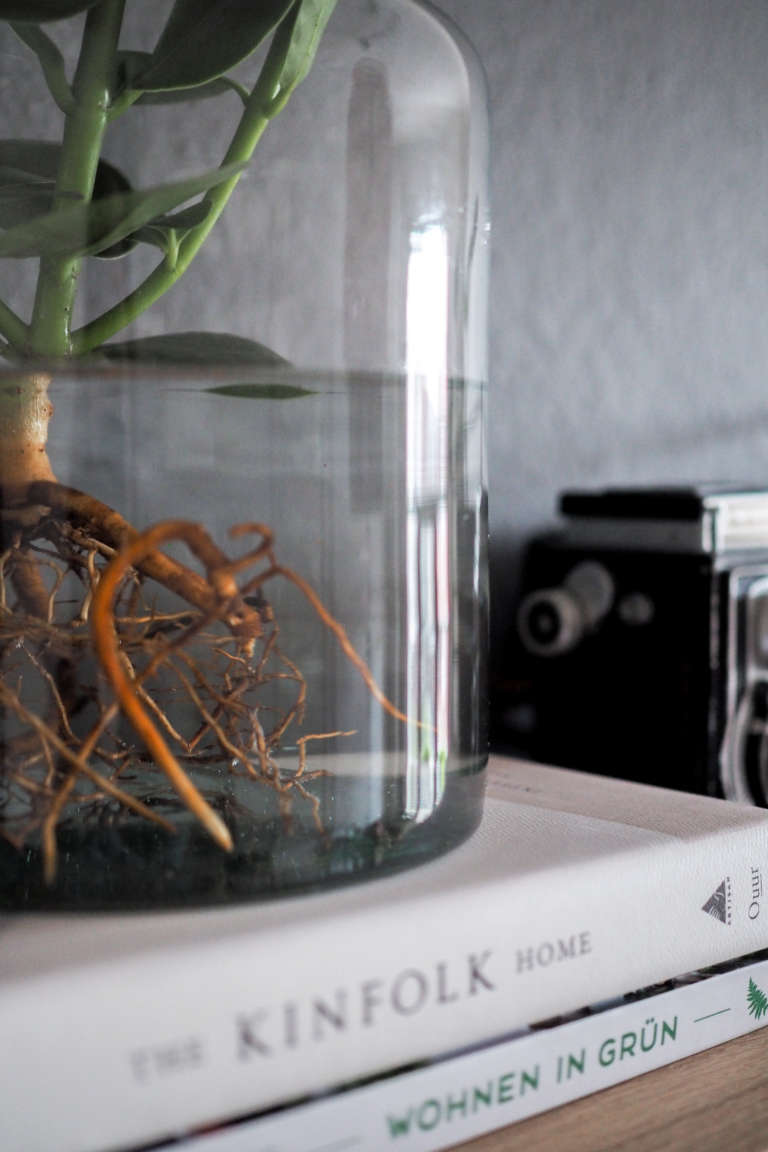 Wohnzimmer-pflanzen-pflegeleicht-Pflanzen-im-Glas-Water-plants-pflanzen-im-wasser-vase-zuhause-einrichten-dekoideen-wohnen-mit-pflanzen-urban-jungle-bloggers-paulsvera